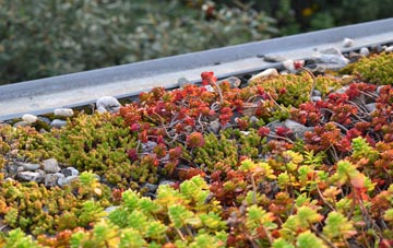 the cost of Rockgreen green roof installation