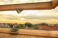 rated Rockgreen roof window companies